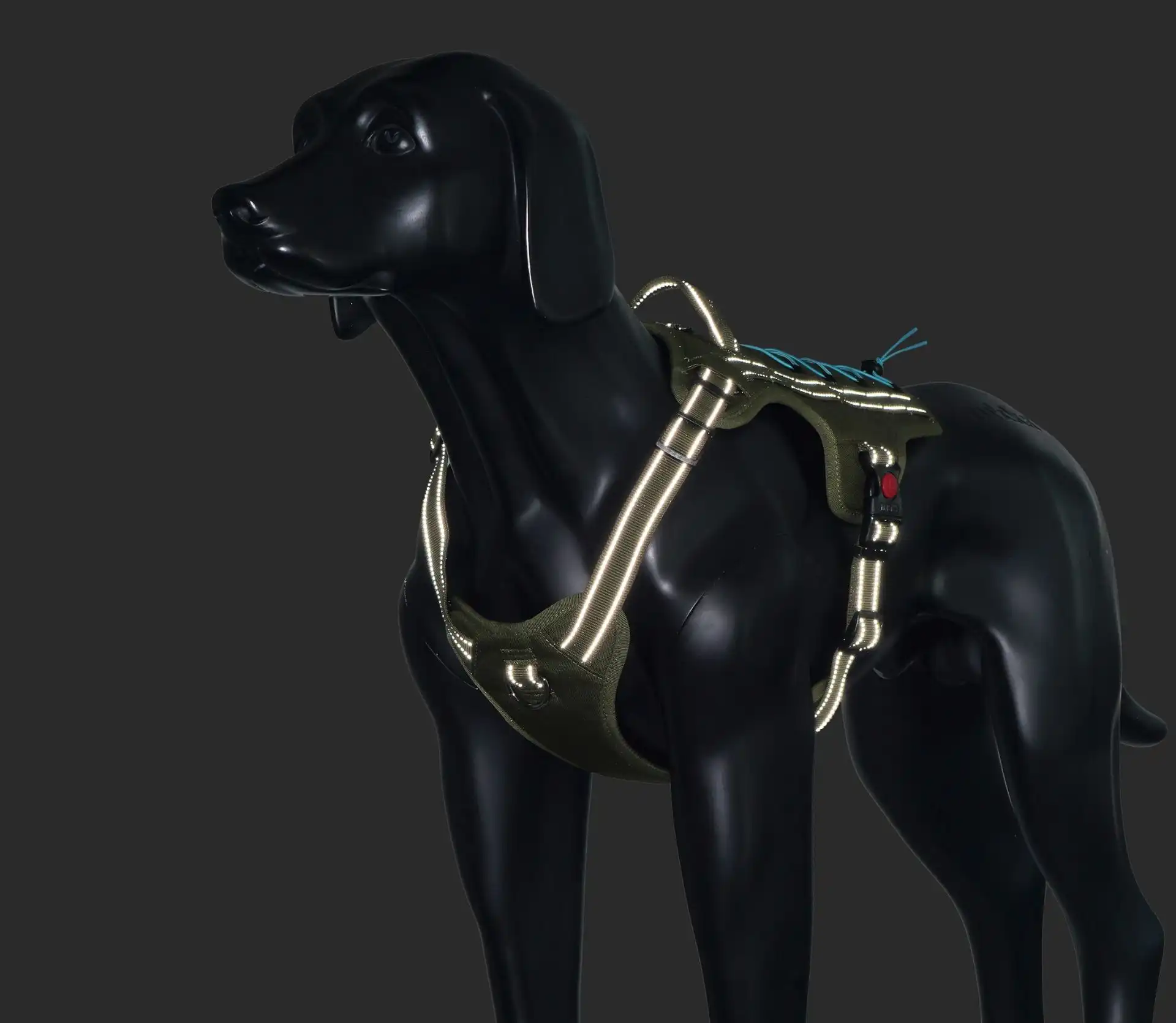 Rukka Pets Bliss X Trek Geschirr